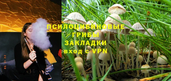 не бодяженный Алзамай
