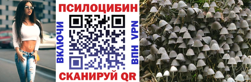 Псилоцибиновые грибы ЛСД купить наркоту Котельники