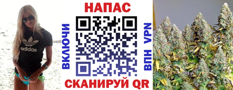 MEGA зеркало  что такое   Котельники  Канабис тримм 